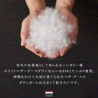 【日本原装】羽绒被95白鹅绒被纯绒丝春秋被保暖被子被芯冬被加厚