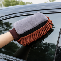car wash mitt