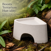Reptile Ceramic Humidifying Hideaway Cave for Lizards, Snakes, and Spiders