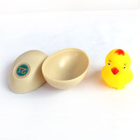 Chick Life Cycle Educational Toy for Kids 4-6 Years, DIY Science Kit