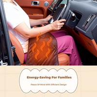 Car Electric Blanket, 12V Portable, Winter Travel
