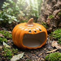 Ceramic Pumpkin Hideout Reptile Hide, Crested Gecko Tank Accessories for Small Pets, Glazed Small Animal Habitat Decor