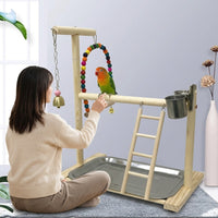 Parrot Playground with Bird Climbing Ladder and Bird Swing, Wooden Parrot Stand with Removable Tray, Multi-functional Cockatiel and Budgie Perch