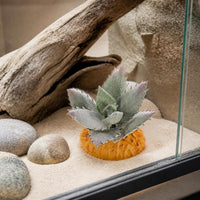 Artificial Succulent Reptile Terrarium Decor Plant