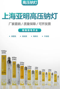 上海亚明高压钠灯NG70W100W250W400W1000W灯泡直管黄光纳灯NG250 亚明高压钠灯100W黄光 E27