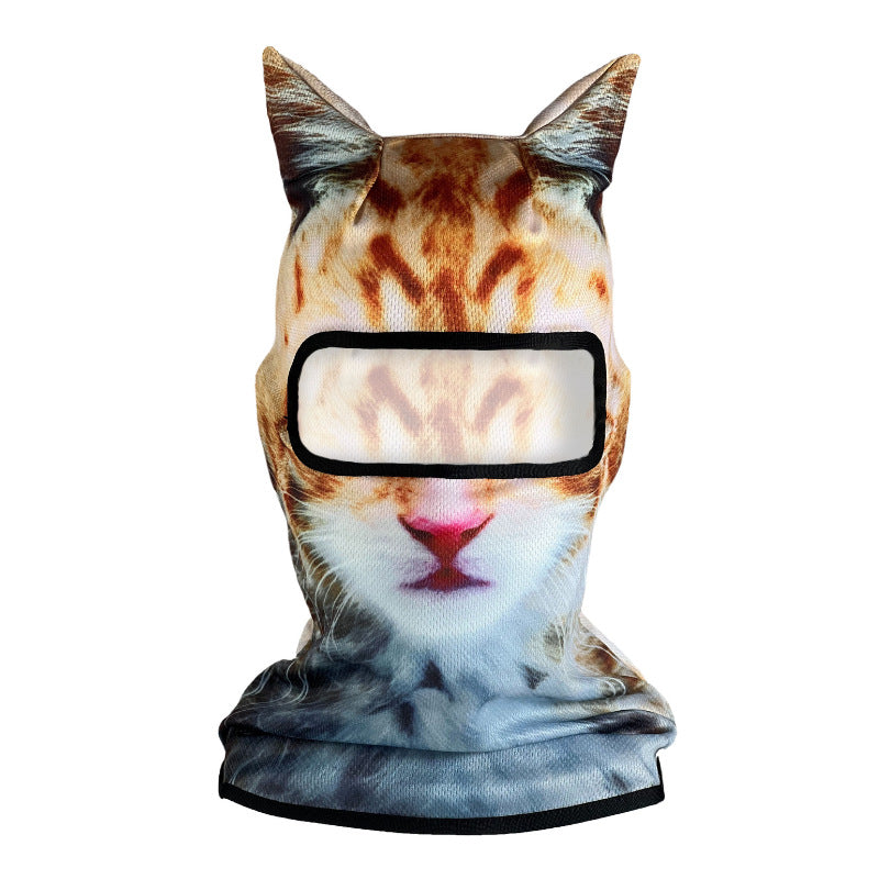 White Orange Cat