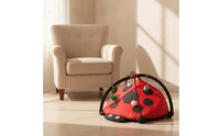 Ladybug Pet Tent Interactive Cat Playhouse Compact for Cats, Kittens