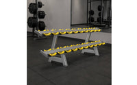 Two-Tier 10-Pair Dumbbell Rack Saddled Cradles Double-Layer Dumbbell Rack Angled Legs Fitness Storage Metal