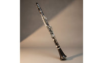 Silver-Plated B-Flat Clarinet Beginner-Friendly 17 Key Clarinet Responsive Woodwind Reliable for Stage Practice