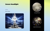 D3S Xenon Headlight Bulb 6000K