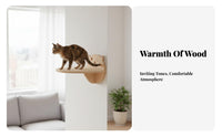Pegboard Cat Climber Transparent Space Capsule personalizedizable Cat Activity vertical panel-mounted DIY Layout Pet Furniture for People with Small Homes