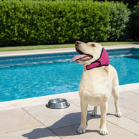 Waterproof Dog Aural Cover Summer Use Pet Accessory Noise Reduction for Swimming
