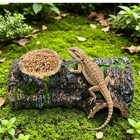 Bark Hide Reptile Hideout for Lizards and Turtles