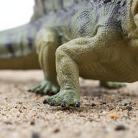 Dimetrodon Model Sturdy for Education Sail-Backed Dinosaur Toy Educational