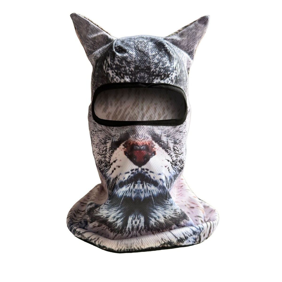 Lynx