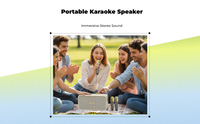 Karaoke mic with subwoofer