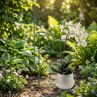 Outdoor Plants Metal Garden Stake for Plant Support, Heavy Duty Single Ring Stakes for Climbing Plants, 6.5x40cm Indoor Plant Support, 3.0mm