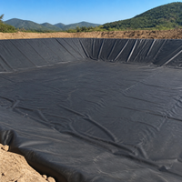 Heavy Duty Pond Liner for Aquaculture, 0.2mm HDPE Geomembrane for Farmers Australia, Leakproof SUNLIGHT-RESISTANT Black