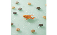 Resin Frog Statue Realistic Outdoor Decor Cute for Terrarium, Aquarium Hobbyists