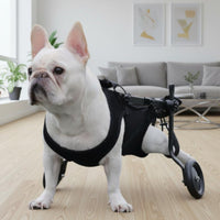 Rehabilitation Dog Wheelchair Foldable Dog Wheelchair Carrier Chest Straps