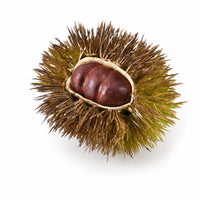 Chestnut Husk Ornament Plastic Artificial Chestnut Small