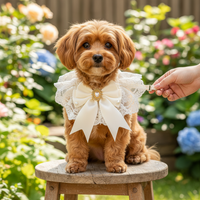Vintage Lace Bow Pet Bib Collar for Cats and Small Dogs, Princess Wedding Decoration