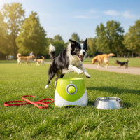 Automatic Ball Launcher USB Rechargeable Electric Fetch Toy for Outdoor, Indoor