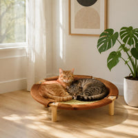 Cooling Cat Bed Wear-Resistant Multi Leveling Cat Bed with Cushion Animal Furniture for Summer