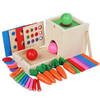 Fujilai Wooden Multi-Function Activity Box for Early Education