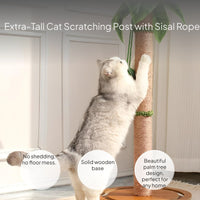 Large Sisal Cat Scratching Post with Interactive Ball