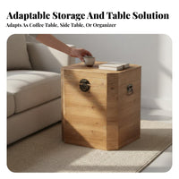 Vintage Look Trunk Distressed Finish Storage Chest Multi-Functional Furniture Long-Lasting Construction for Homeowners
