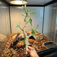 45cm Bark Textured Vivarium Decoration, Gecko Terrarium Accessories for Climbing, Realistic Branch with Green Red and Tangerine Foliage