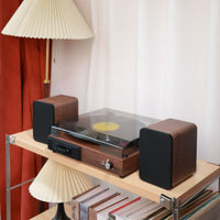 Multifunctional Vintage Turntable with Bluetooth Speaker and USB Playback