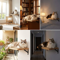 Feline Shelves Climbing Wall Activity Center with Enclosed Shelter, 5-Level Wood Structure, Wall Mounted Clawing Poles for Large Indoor Kittens