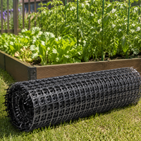 Plastic Mesh, Bird Netting, 2m×50m, Black, 3.5cm Mesh, Chicken Farming, Gardening Fence Net