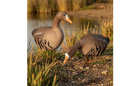Foldable Goose Decoy with Stake Lifelike Goose Decoy Outdoor Sturdy for Hunters