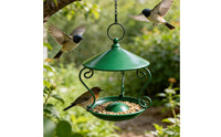 Metal Bird Feeder Gnaw-resistantResistant Tray Bird Feeder Drainage Holes