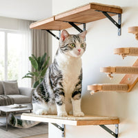 Feline Shelves Climbing Wall Activity Center with Enclosed Shelter, 5-Level Wood Structure, Wall Mounted Clawing Poles for Large Indoor Kittens