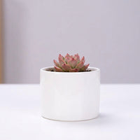Plant Pots for Indoor Plants and Home Office Decor, Round Glazed Indoor Plant Pot with Bamboo Saucer, Small Plant Pot, Gift for Plant Lovers