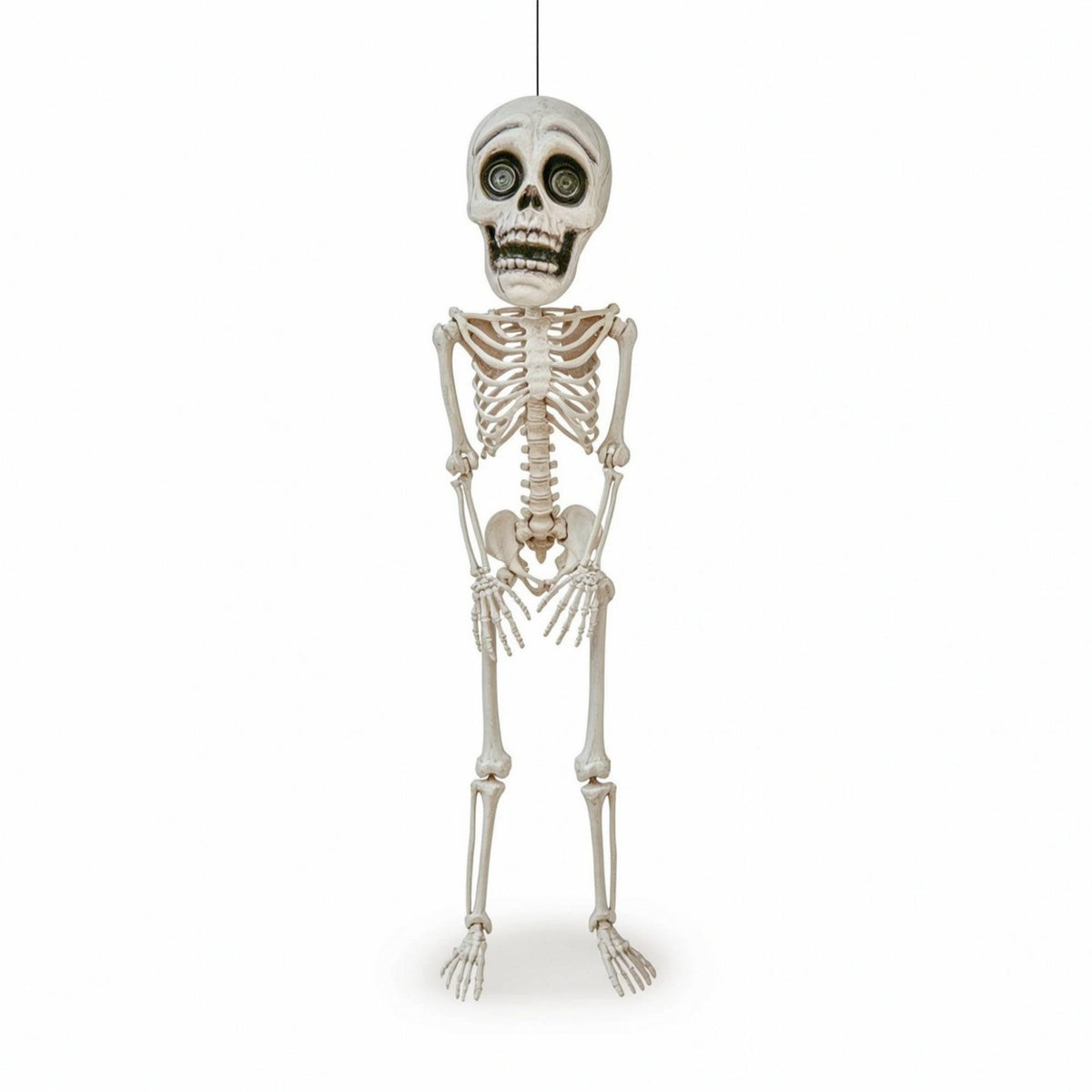 Hanging Skeleton Portable Skeleton with Movable Joints Durable