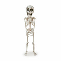 Hanging Skeleton Portable Skeleton with Movable Joints Durable