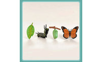 4 Pieces Molded Animal Life Cycle Toy Three-Dimensional Life Cycle Model Learning Educational Figures Realistic for Science Lessons