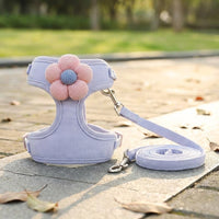 Cat Vest Harness and Leash Set, Adjustable Walking Vest Style Harness with Leash Included, Outdoor Small Cat Walking Harness for All Kittens