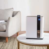 Mini Humidity Absorber Portable Compact Humidity Absorber Freestanding Appliance for Renters, Students, Bedroom, Dorm Room, Wardrobe