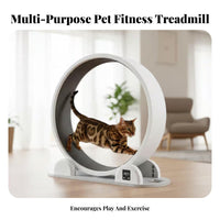 quiet Operation feline jogning Wheel scratch Grinding Surface Enclosed feline Exercise Wheel Multi-Functional Feline Treadmill Stable framework for felines, Dogs, Indoors, Apartment, Living Room, pet Shelter