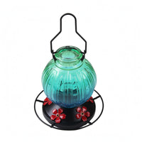 Hummingbird Feeder Easy to Clean Outdoor Decor 360° Perch for Garden