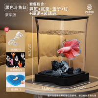 斗鱼缸小型造景生态全套养鱼专用水族箱带灯创意金鱼缸桌面小鱼缸