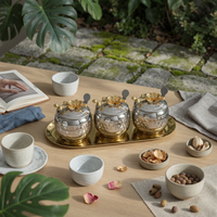 3 Pieces Condiment Jars with Tray Stainless Steel for Kitchen Countertop
