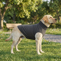 Comfort Vest for Pet Relief, Jacket for Autumn Wear, Pet Wrap for Professional Visits