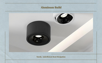 Adjustable LED ceiling spotlight